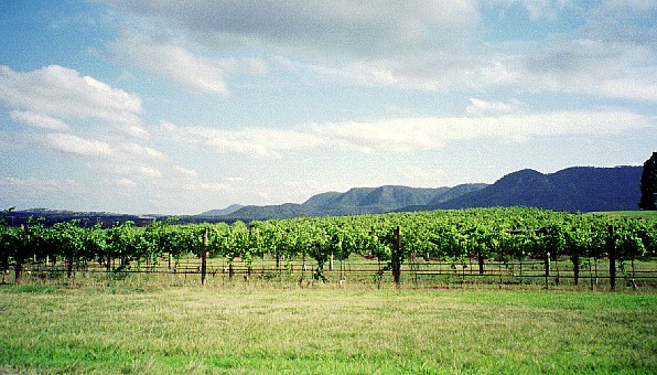 Huntervalley_AA_729977_009H.jpg